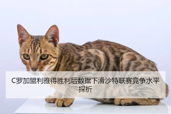 luo-jia-meng-li-ya-de-sheng-li-hou-shu-ju-xia-hua-sha-te-lian-sai-jing-zheng-shui-ping-tan-xi-1-237.jpg