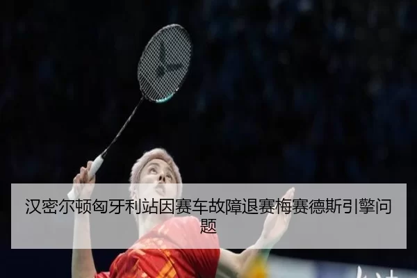 han-mi-er-dun-xiong-ya-li-zhan-yin-sai-che-gu-zhang-tui-sai-mei-sai-de-si-yin-qing-wen-ti-3-109.jpg